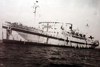 Illustration for article titled Surviving Ocean Liners - The Rest of the World